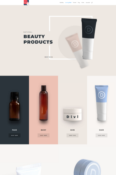 20 - Beauty Product